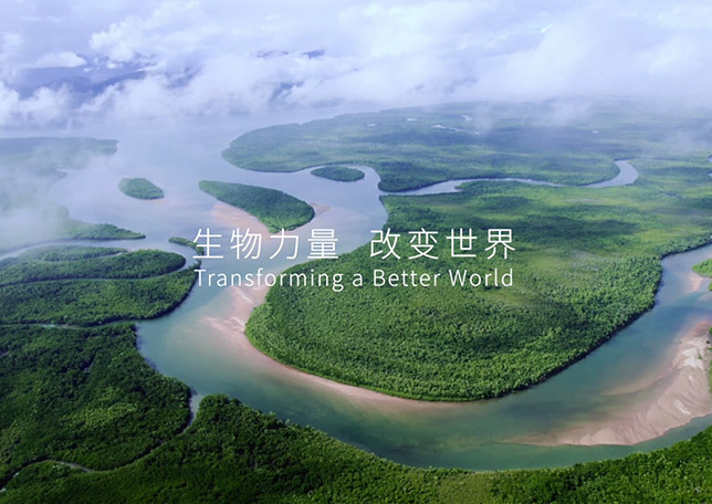 华体会体育品牌宣传片