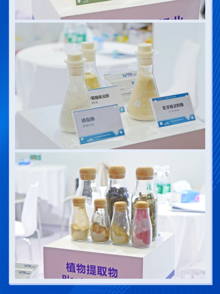 科技赋能，助力「酶」好生活｜华体会体育闪耀亮相FIC2024_05.jpg